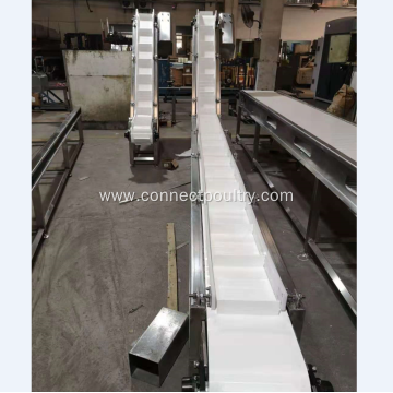 Meat products chain conveyor